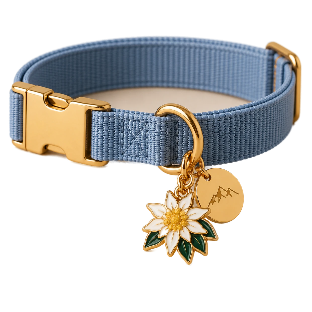 Swiss Collar Charms concept 1
