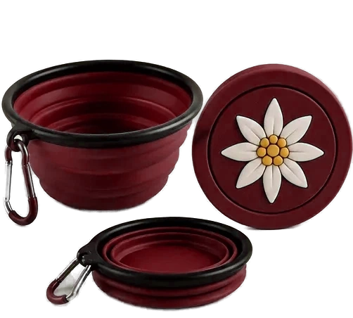 Swiss Travel Bowls concept 3