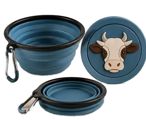 Swiss Travel Bowls concept 4